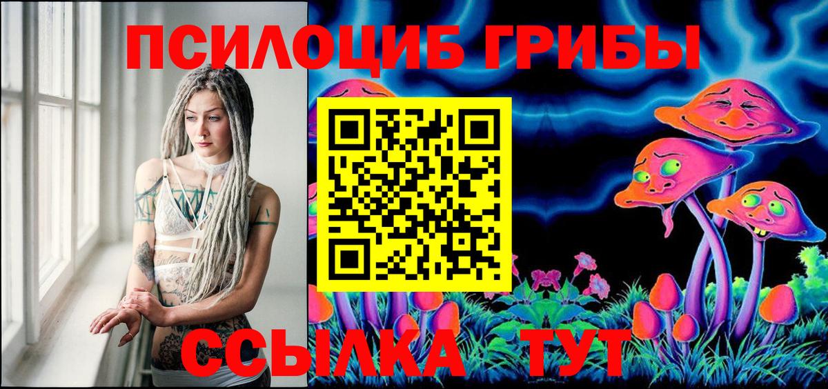 Псилоцибиновые грибы GOLDEN TEACHER  Вход с VPN  Татарск 