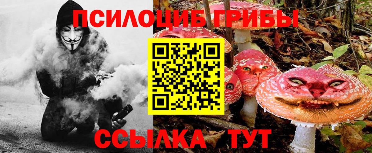Псилоцибиновые грибы MAGIC MUSHROOMS Татарск